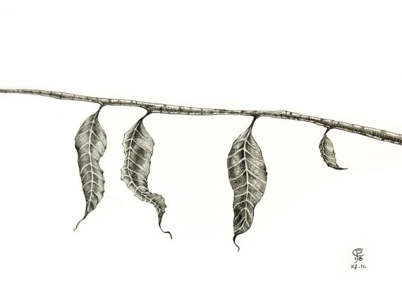 Originální kresba s motivem podzimní větvičky s listy
